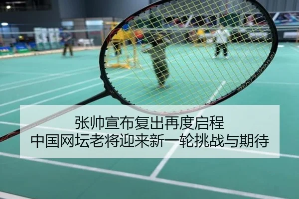 张帅宣布复出再度启程 中国网坛老将迎来新一轮挑战与期待