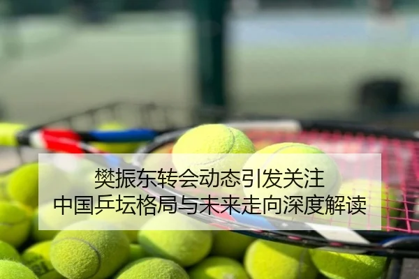 樊振东转会动态引发关注 中国乒坛格局与未来走向深度解读