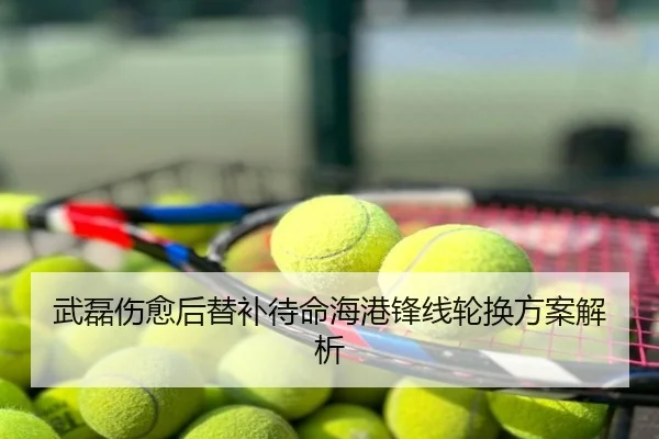 武磊伤愈后替补待命海港锋线轮换方案解析